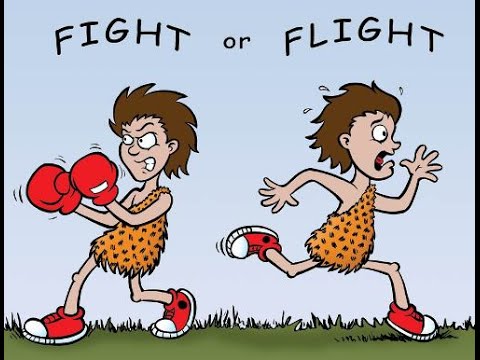Piirroskuvassa samalla henkilöllä on toiseen suuntaan kääntyneenä fight-moodi ja toiseen suuntaan flight-moodi.
